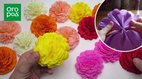 Цветы из гофрированной бумаги своими руками.